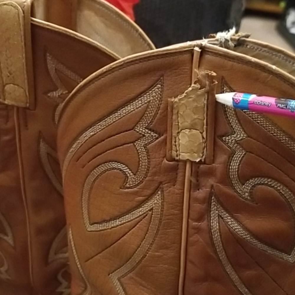 Dan Post Python - image 4